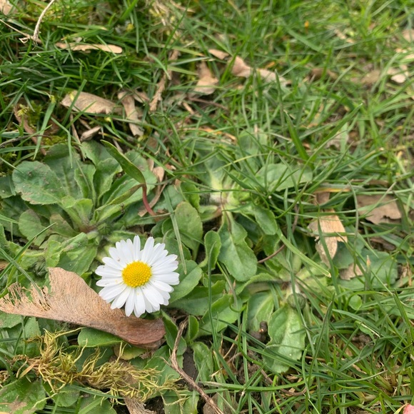 Meet your Posher, Jo - Picture 2 of 3